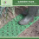 Greena Garden Tiles - 5 Pack - Creates a path that stops gardens getting churned up! 5
