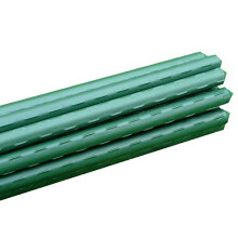 GardenSkill Garden Plant Stakes - Plastic-Coated Metal Plant Supports for Vegetables Flowers Fruit (11mm dia x 0.75m, Pack 10)