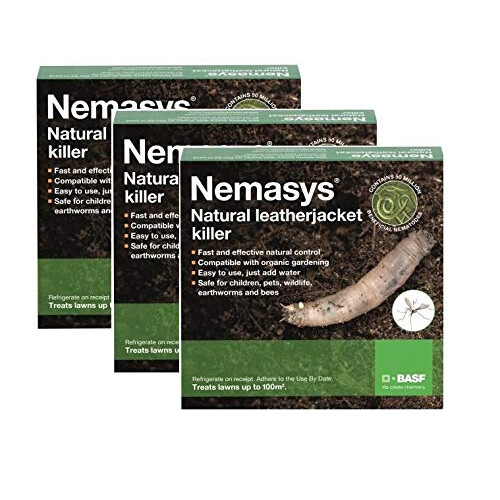 Nemasys Leatherjacket Killer nematode treatment (300 sqm)