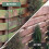 Multi Surface VivaGreen MossOff - 2 Litre 4