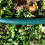 Gartenschlauch - CELLFAST - Wirtschaftlich - 3/4"  15 m - Garten - Außenbereich 5