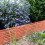 Prosperplast IBWI Weidengeflecht-Gartenzaun | Grau 3