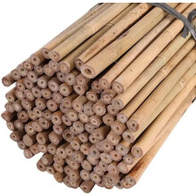Strong Heavy Duty Professional Bamboo Canes for Plant Support - All Lengths 2ft, 3, 4, 5, 6, 7 & 8ft Garden Stakes, Thick Garden Canes, Sturdy &