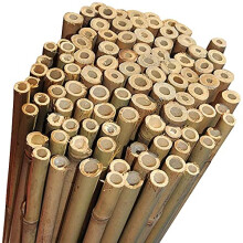 Scotvision Strong Heavy Duty Professional Bamboo Plant Support Garden Canes Poles Sticks Stakes 12-14mm | 2FT 3FT 4FT 5FT 6FT (10, 6 Feet)