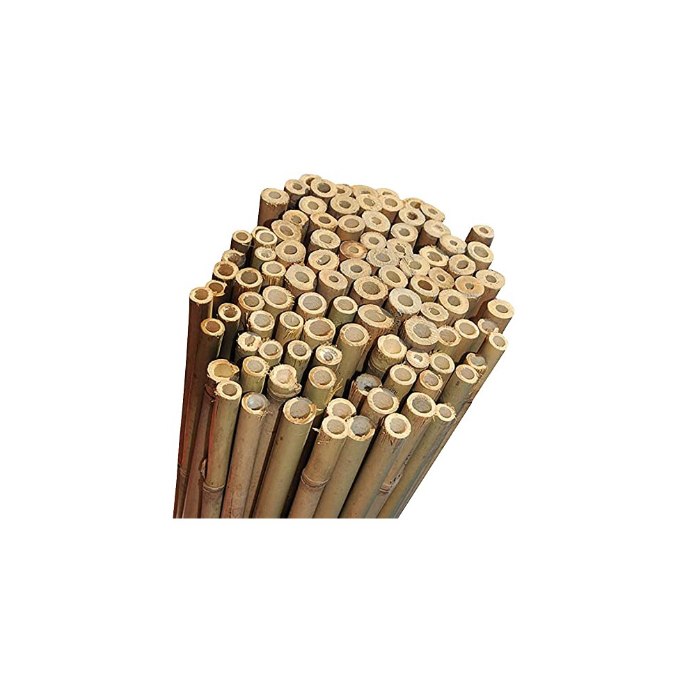 Scotvision Strong Heavy Duty Professional Bamboo Plant Support Garden Canes Poles Sticks Stakes 12-14Mm | 2Ft 3Ft 4Ft 5Ft 6Ft (10, 6 Feet)