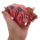 3D Pig Puzzle En Bois Éducatif Animal Assemblage 4