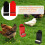 2pcs Iron Chicken Feeder Grit Feeder Automatic Coop Accessories 2.6L 7