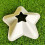 Soccer Practice Cones With Star Pattern Player Performances 4