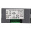 Indicator di temperatura digitale DC12V -199,9 a 600C con allarme 4