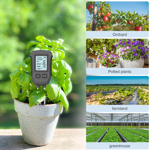 Digitaler Bodensensor mit 2-Sonden, LCD-Display, 5-in-1-Tester 2