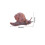 10 Pcs Simulation Snail Figurine Educational Animal Model Toy 2