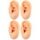 2 Pcs Ear Model Artificial Mold Silicone Piercing Body Part Simulated 5