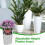 Adjustable Height Planter Inserts Elastic Planter Lift Riser Insert with Hooks Planter Inserts for Pots Planter 5