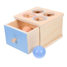 Montessori Toddler Sorting Toy Wooden Color Matching Learning Game