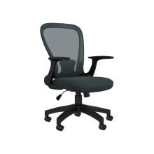 Ergonomic Office Chair, Mesh Desk Chair with Flip-up Armrest, Lumbar Back Support, Swivel Wheels, Grey