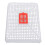 Plastic Queen Bee Cage Beekeeping Tool 14x10.5cm 6pcs 16