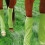 Breathable Horse Leg Cover Durability Meshes Fly Boot Sub-Blue 6