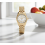 Michael Kors Michael Kors MK3229 Κυρίες Χρυσό ρολόι Petite Lexington 1