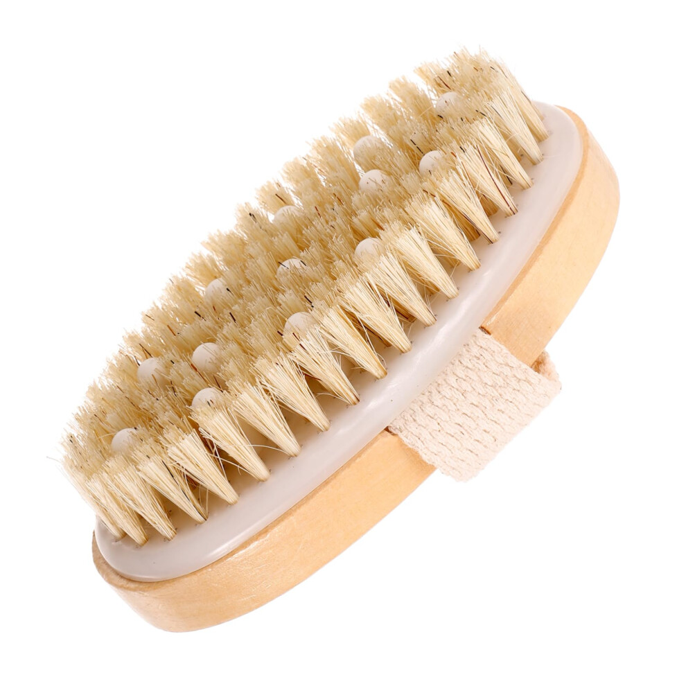 Body Brush Shower Scrubber with Long Handle for Deep Cleansing and Gentle Exfoliation Wet or Dry Use