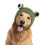 Weihnachtsmütze für Hunde, weich gewebt, modisch, bequem,-Grün 1