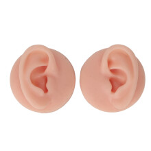 Realistic Silicone Ear Model with Acrylic Stand for Piercing Practice and Earring Display