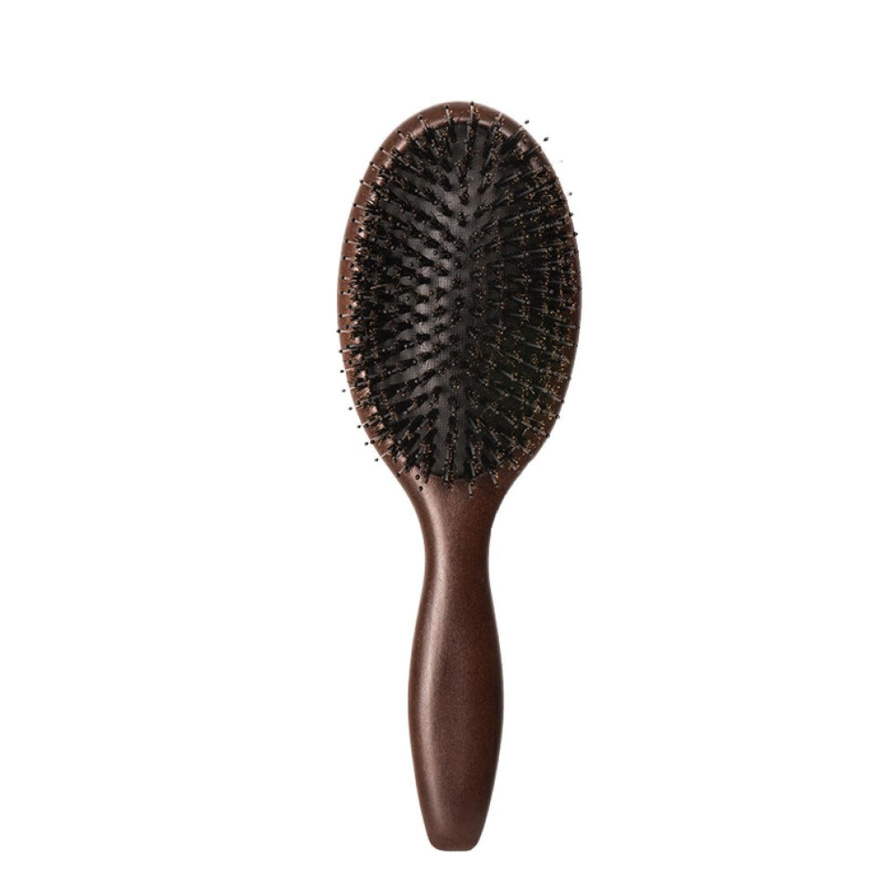 Detangling Hair Brush for Wet and Dry Hair with Frizz Reduction and Gentle Scalp Massage for Women