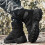 Black Tactical  Combat Boots with DeepTread Grip and Ankle Support, Black 9.5 UK 3