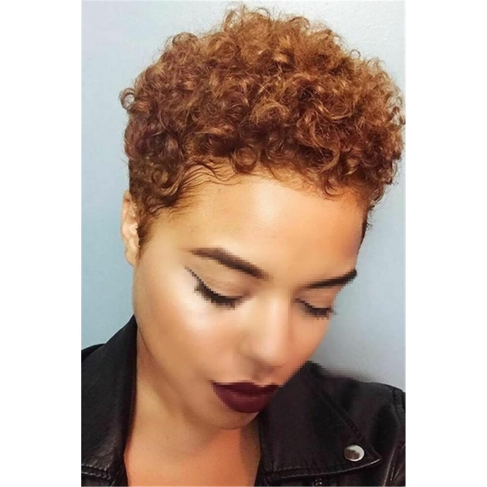 Black Women Wig Short Brown Afro Curly Synthetic Heat Resistant Natural Looking Glueless Style