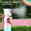 Face Mist Sprayer USB Rechargeable 200ml Capacity for Deep Hydration and  Style 2