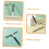 Dual Sided Shower Squeegee for Glass Doors and Windows with Ergonomic Grip for Multi Surface Use 5