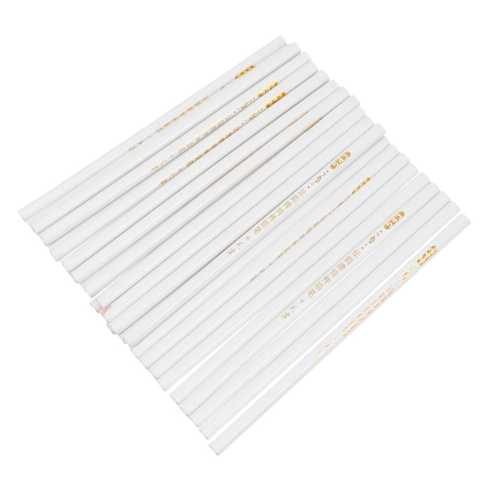 Nail Art Pens and Dotting Tools Set for Precise Designs with Multiple Tips, 30pcs Salon Quality