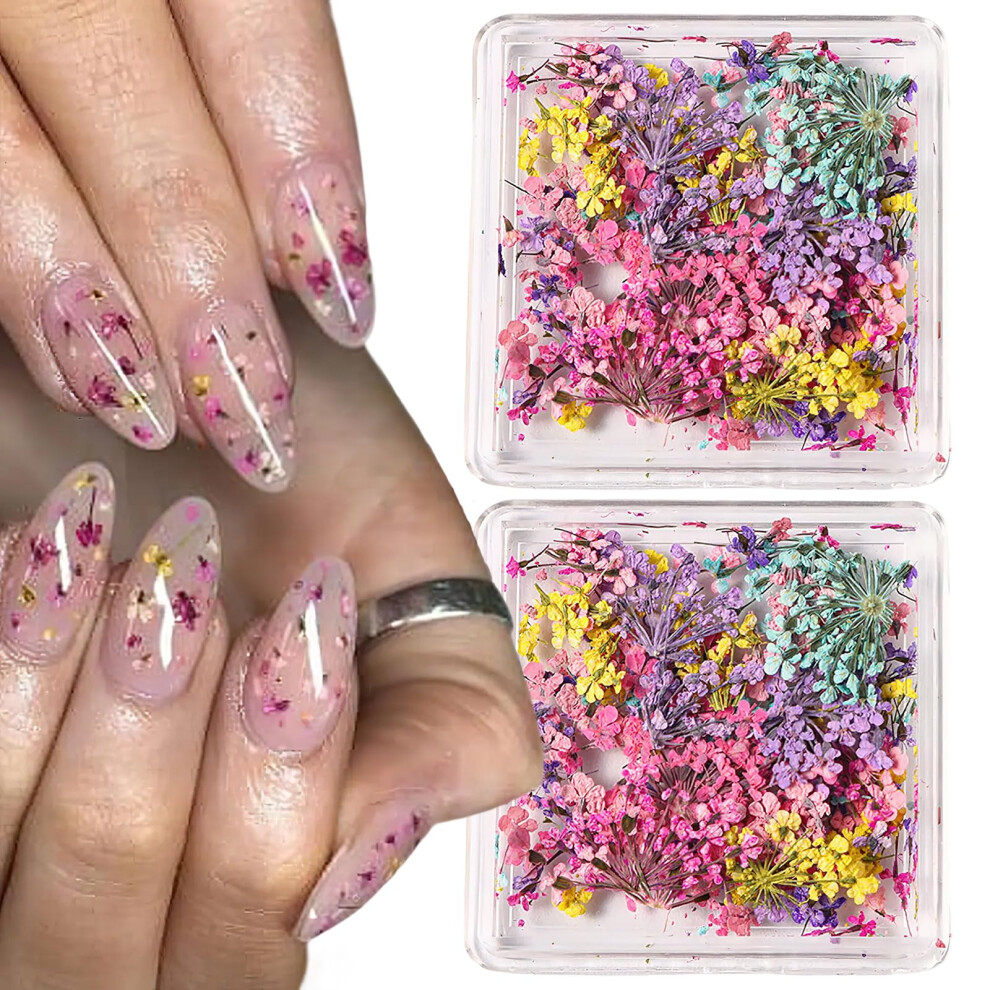 2 Box 3D Dried Flower Nail Art Decorations with Real Natural Flowers for DIY Manicure and Decals