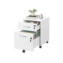 Mobile Locking Filing Cabinet with 2 Drawers, 5 Wheels, Adjustable Hanging Bar, White