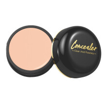 Full Coverage Waterproof Concealer Natural Color Correcting LongLasting for Dark Circles Face Eyes 1pc
