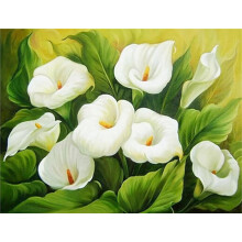 Diamond Art Kits 5D White Lily Flower Diamond Painting Kit Beginner DIY Paint By Numbers 14x22in