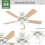 Hunter Hunter 50885 Swanson Ceiling Fan 44 inches Fresh White 4