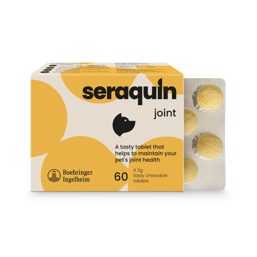 Seraquin Joint | 60 x 2 g chewable tablets | Maintains healthy joints