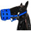Thickened Nylon Webbing Anti Bite Muzzle With PU Leather Cushion Blue 5