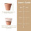 Round Planter Insert,13inch Orange Planter Insert, Plastic Disk with Drainage Holes for Place Inside Planter 3