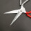 Salad Scissors For Chicken Bone Powerful Sharp Blades Fine Grinding Durable And Practical Size 9.3 x 25.3 cm 3