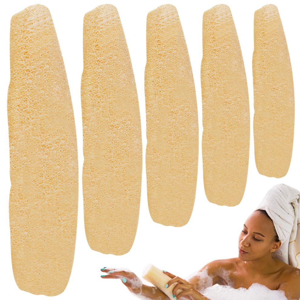 Natural Loofah Sponge Set 5Pcs EcoFriendly Biodegradable Bath Scrubber for Body and Kitchen Cleaning
