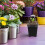 48Sets Pflanzgefäße Kunststoff Für Und Garten 6