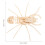 4 Pièces Jeux De Puzzle En Bois Animal Type 4