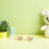 7St Blanke Kinderschaaltjes Beige Onbewerkt Mini Knutselkommen 4