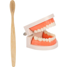 3 Sets Kids Teeth Care Educational Model For Brushing Teaching