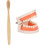 3 Sets Kids Teeth Care Educational Model For Brushing Teaching 1