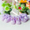 1Paire Non Glissantes Bébé Violet, Et Absorbantes 4