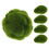 15 Pièces Rochers En Mousse Artificielle Vert Pour Compositions 1