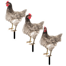 12 Pcs Garden Hen Stakes Acrylic Chicken Signs For Outdoor Decor