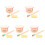 5Sets Oral Education Teeth Model Kit with Assorted Colors for Kids 4